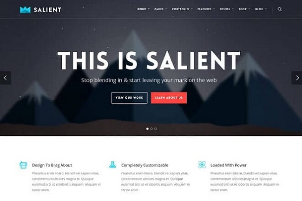 Salient Responsive Multi-Purpose Theme