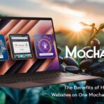 Benefits of Hosting Multiple Websites on One MochaHost Account